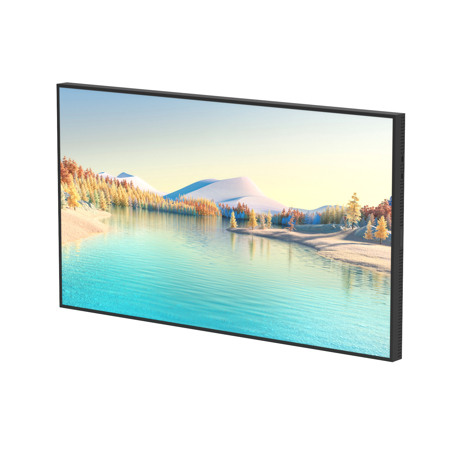 Wall-mounted high-brightness professional LCD display