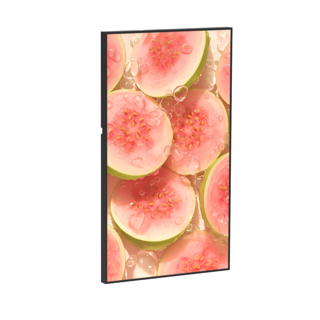 Wall-mounted high-brightness professional LCD display