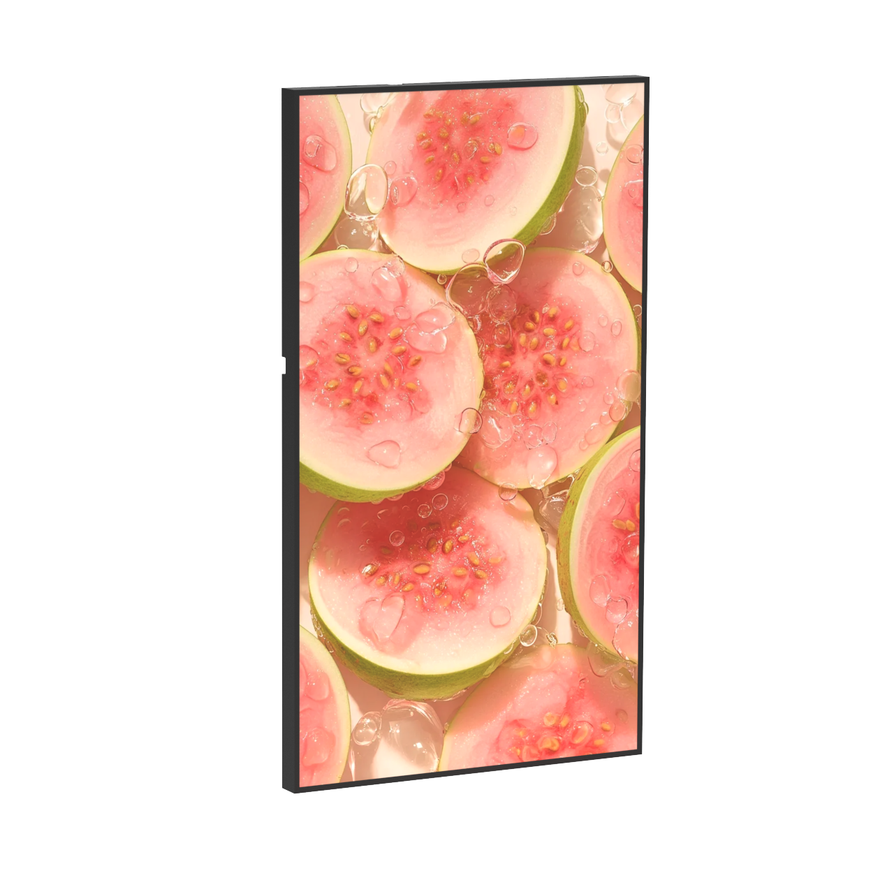 Wall-mounted high-brightness professional LCD display