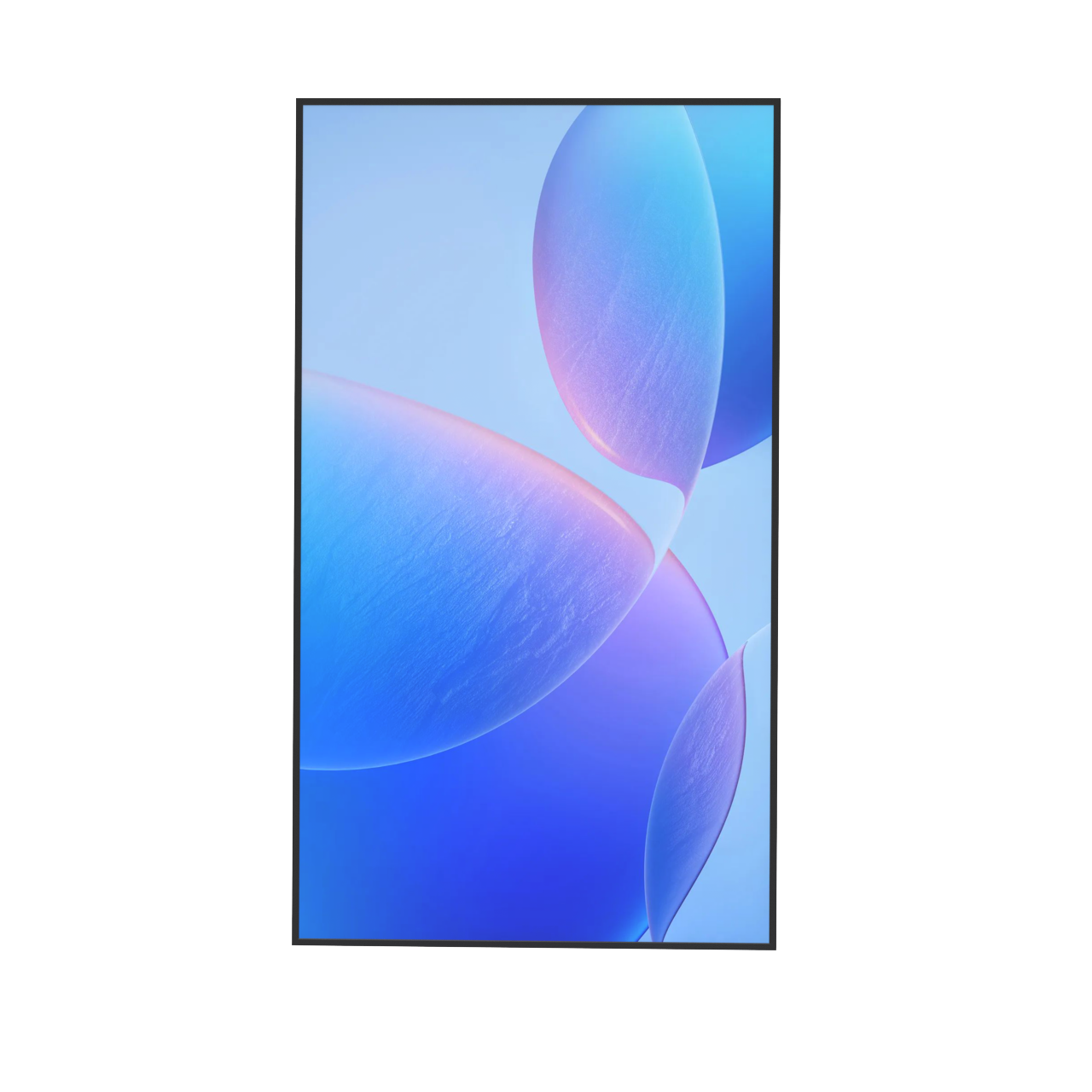 Wall-mounted high-brightness professional LCD display